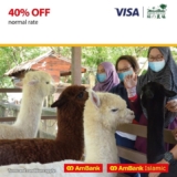 Farm In the City Tickets 40% Off with AmBank Credit Cards