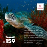 MYAirline Flights to Tawau only from MYR 159