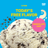 Baskin Robbins Chocolate Chips on 12 March 2023