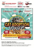 NSK Trade City Cat Adoption Drive: July 2024 – Give a Cat a Forever Home!