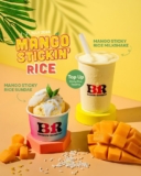 Double the Yum with Baskin-Robbins’ New Mango Sticky Rice Treats! – July 2024