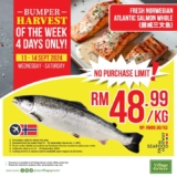 Village Grocer Bumper Harvest: Fresh Norwegian Atlantic Salmon Whole at a Steller Price! (September 2024)