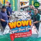 Dive into Freshness: Get Your Hands on Super Fresh Seafood at Segi Fresh on September 2024