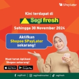 Segi Fresh ShopeePayLater Deal: Get RM5 Off Fresh Produce!