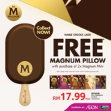 Indulge in Magnum Bliss: Get a FREE Fluffy Pillow with Your Magnum Mini Purchase!