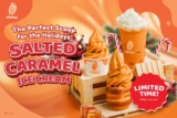 Indulge in Sweet & Salty Delights: Rollney’s Salted Caramel Ice Cream Extravaganza (December 2024)