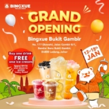 Grand Opening Deal at Bingxue in Bukit Gambir: Indulge in Irresistible Offers!