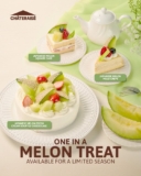 Discover the Sweet Deal: Limited-Edition Japanese Melon Series from Chateraise 