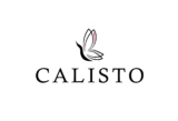 Calisto Eyewear: Elevate Your Style with 10% Off 2024 Promo