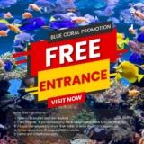Free Entrance to the Breathtaking Blue Coral Aquarium at KL Tower!