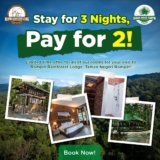 Experience the Thrill of Rompin State Park with Unbeatable 3 for 2 Night Offer at Their Lodges!