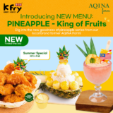 K Fry Introducing New Merdeka Special 2022 : Pineapple King of Fruits